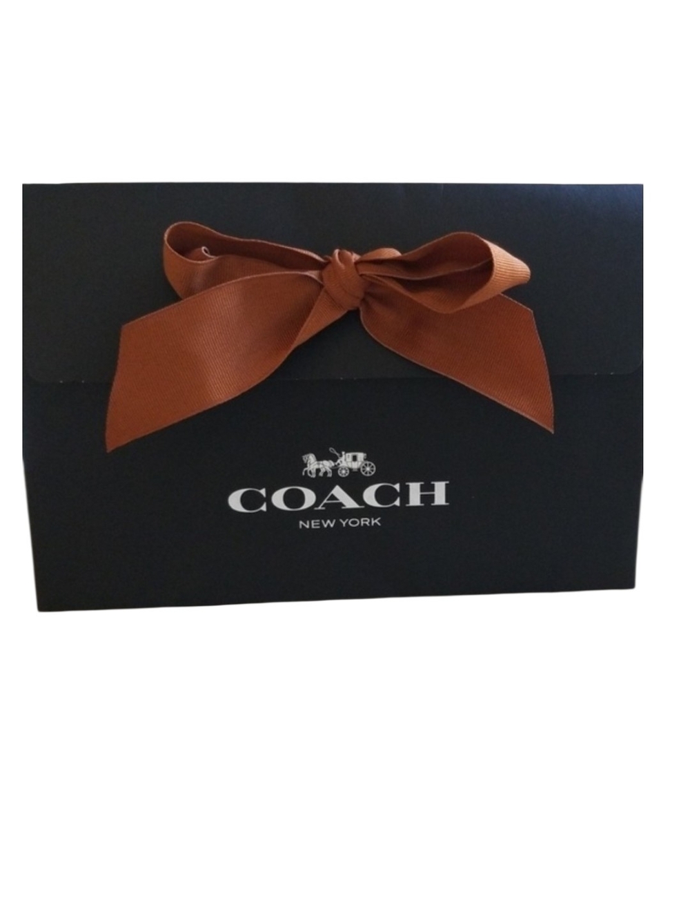 Coach Black Gift Bag with Brown Bow